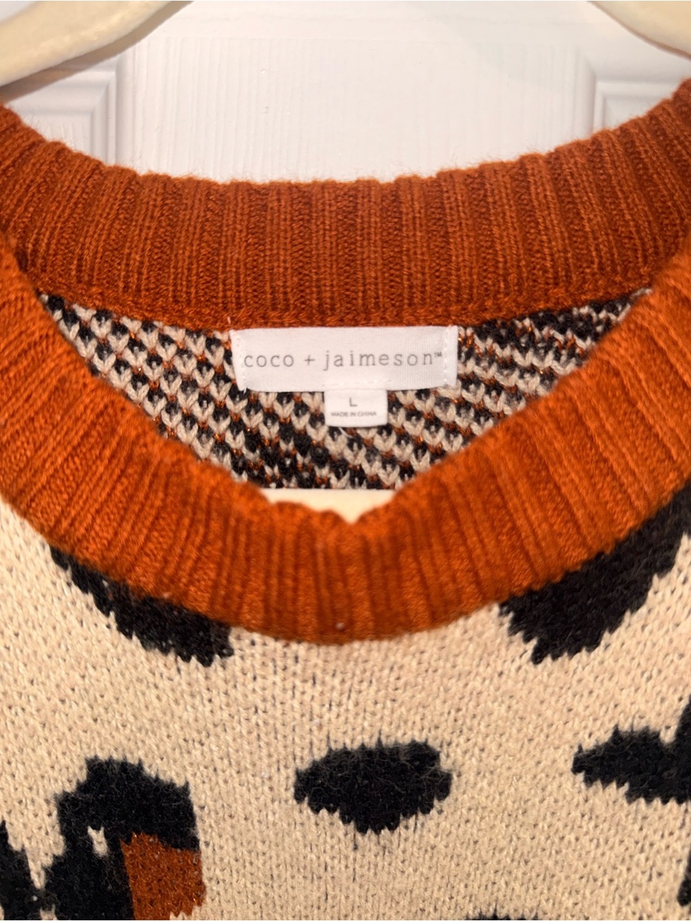 Leopard Print Crewneck Sweater in Beige with Rust Trim - Picture 2 of 4